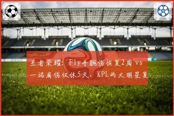 王者荣耀：Fly手腕伤恢复2周 vs 一诺肩伤仅休5天，KPL两大明星复出时间差距明显