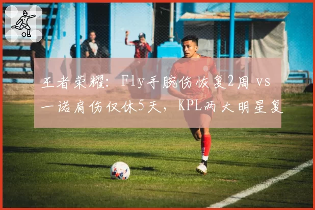王者荣耀：Fly手腕伤恢复2周 vs 一诺肩伤仅休5天，KPL两大明星复出时间差距明显